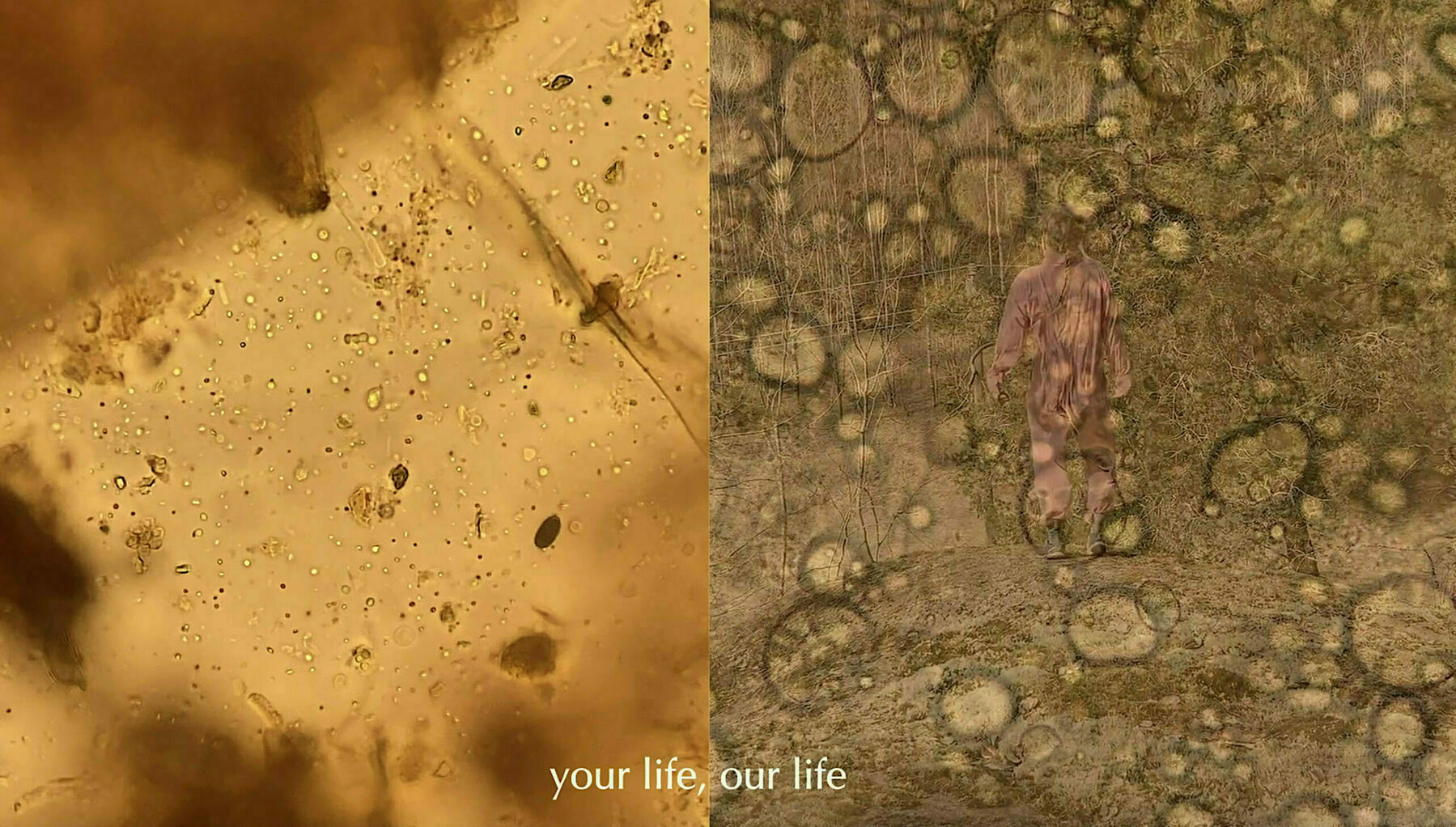 A screenshot from the videoperformance Microbimpro, which handles improvisation, gut feelings and microbes dancing. Two screenshots, left and right, lots of yellow and brown. Plenty of round entities. Author: Oona Leinovirtanen