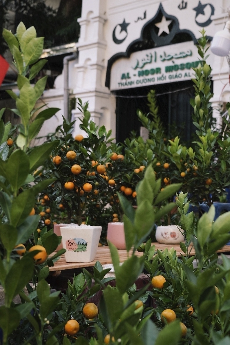 Tết deco means Kumquat tree which means prosperity. They spend their cute orange fruits just before text. In the background is an entrance to a white mosque. Not a common site by any means 